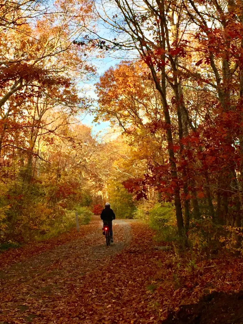 A cyclist on the Shining Sea Bikeway under fall foliage